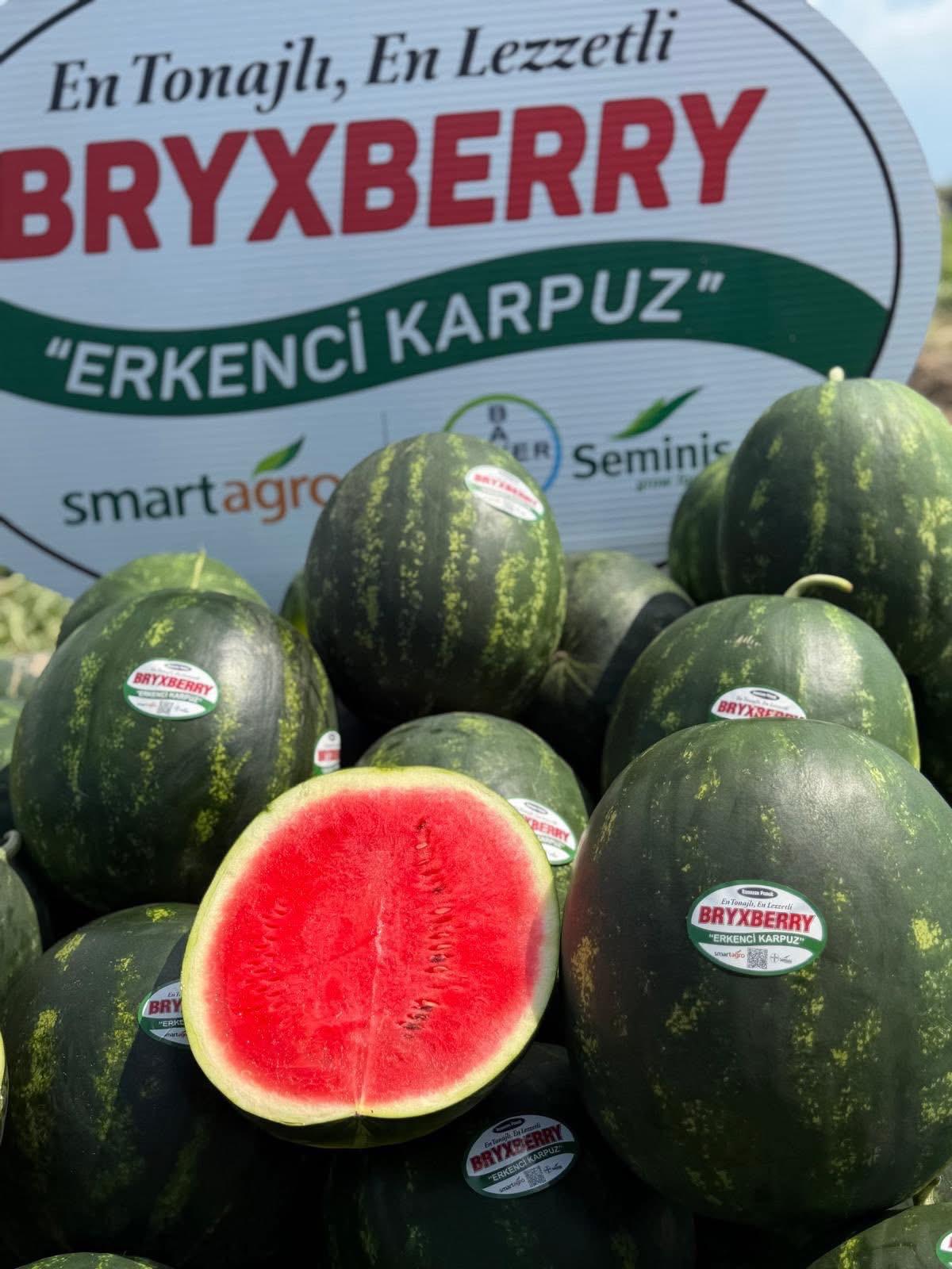Bryxberry.. Rakiplerinin en erkencisi!