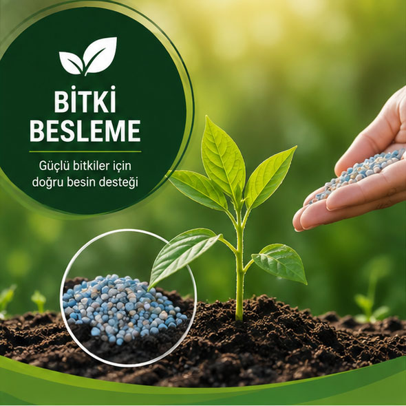 Bitki Besleme